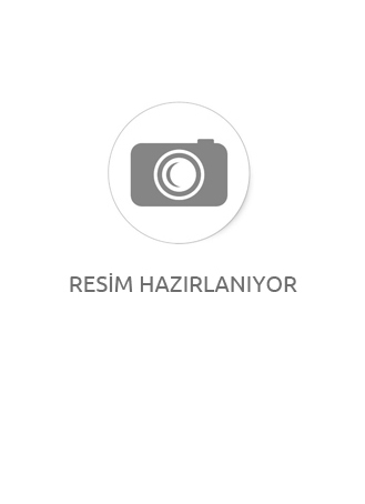 Baylan Kuru Tip Rekorlu Soğuk Su Sayacı TK-3C 260 mm